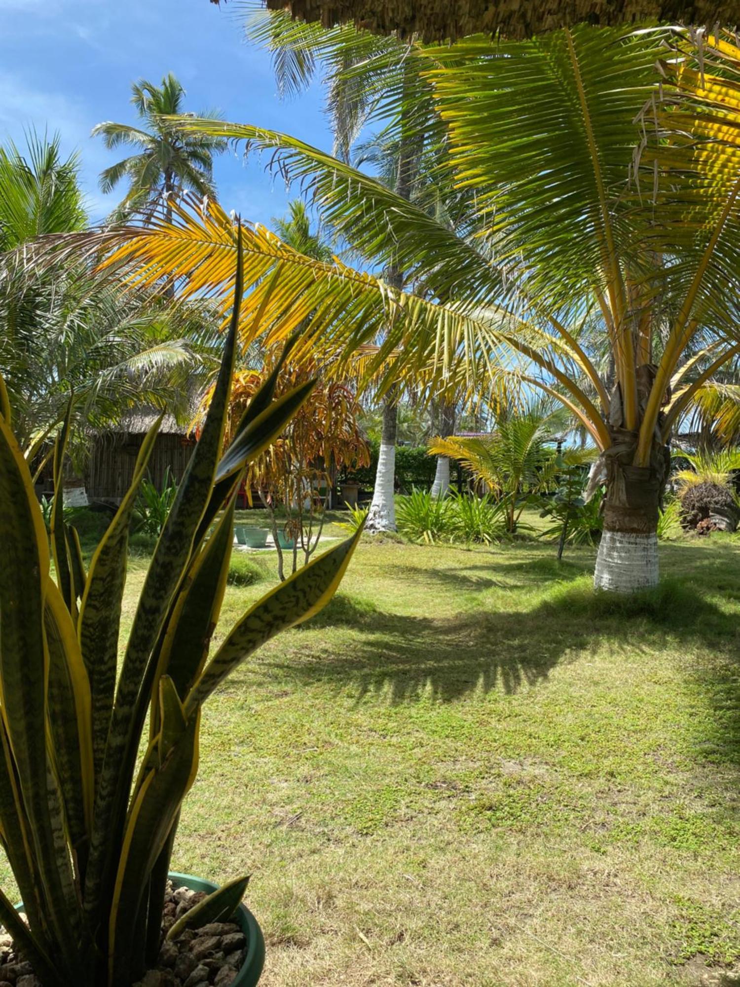 Zefiro Hostal San Bernardo del Viento Bagian luar foto
